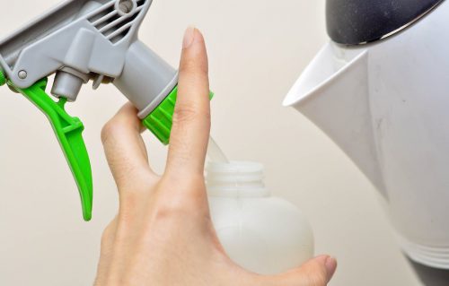 نحوه استفاده از تفاله قهوه برای گیاهان