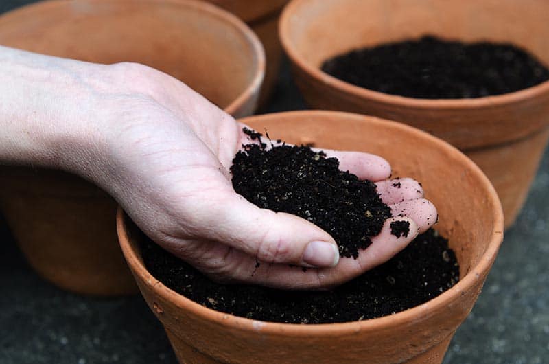 چه نوع خاکی برای کاشت گیاه مناسب است