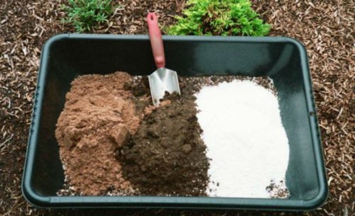 اصلاح و بهبود کیفیت خاک