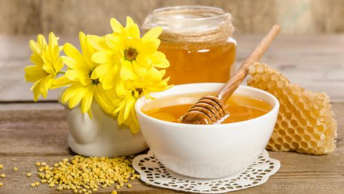 عسل ممکن است به حمایت از روده سالم کمک کند