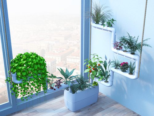 تاثیر گیاهان آپارتمانی