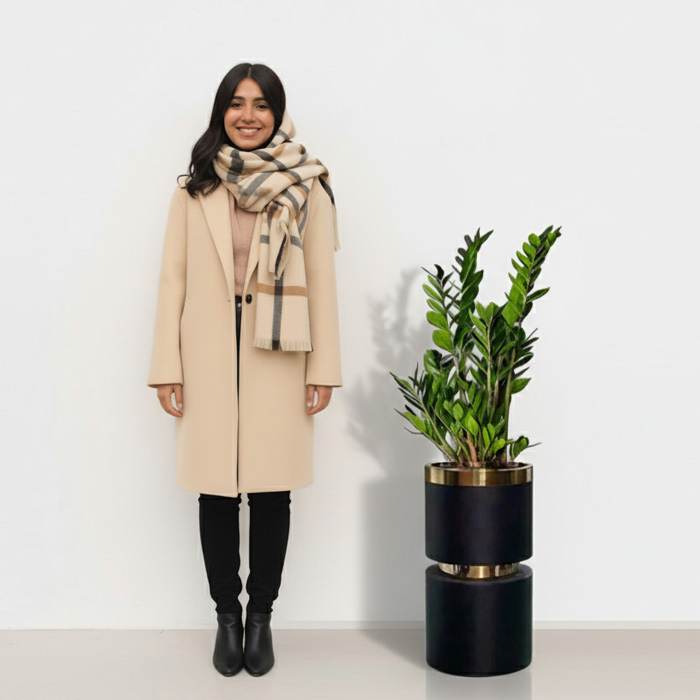 درختچه-هدیه-زاموفیلیا-510-(ارسال-سریع-امروز)-1 درختچه هدیه زاموفیلیا 510 (ارسال سریع امروز) - Image 3