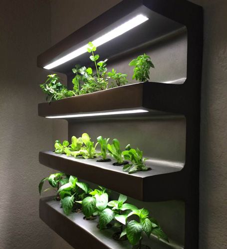 پرورش-سبزی-در-آپارتمان