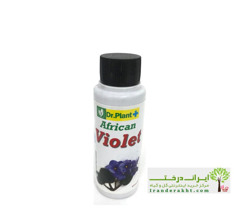 کود بنفشه آفریقایی