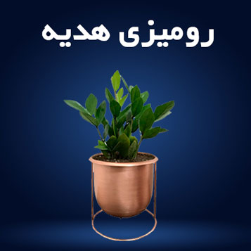 گلدان هدیه رومیزی