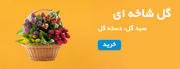 گل-شاخ-ای-1