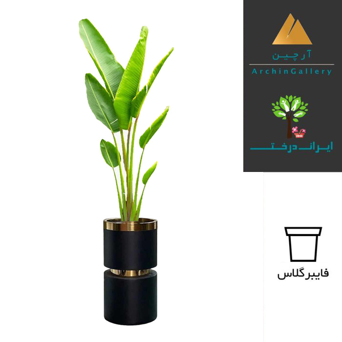 گلدان دکوراتیو نخل نیکولای ( نخل مسافر ) شماره 61 (ارسال سریع امروز)