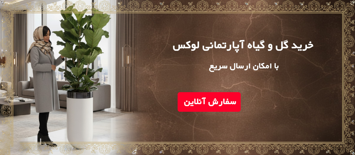 خرید-گل-و-گیاه-آپارتمانی-لوکس