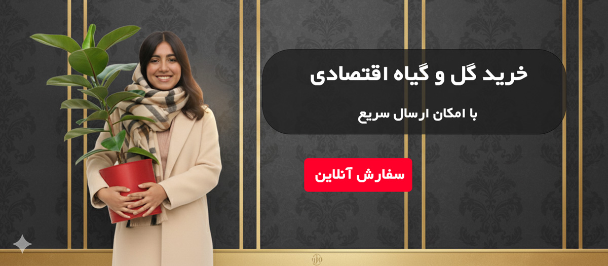 خرید-گل-و-گیاه-اقتصادی