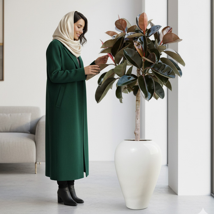 گلدان-دکوراتیو-فیکوس-بلک-شماره-113-(ارسال-سریع-امروز) گلدان دکوراتیو فیکوس بلک شماره 113 (ارسال سریع امروز) - Image 1