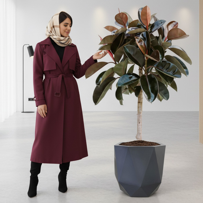 گلدان-دکوراتیو-فیکوس-بلک-شماره-117-(ارسال-سریع-امروز)-1 گلدان دکوراتیو فیکوس بلک شماره 117 (ارسال سریع امروز) - Image 1