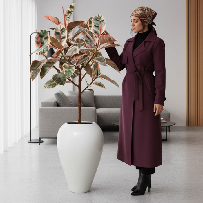 گلدان-دکوراتیو-فیکوس-شرابی-شماره-57-(ارسال-سریع-امروز) گلدان دکوراتیو فیکوس شرابی شماره 57 (ارسال سریع امروز) - Image 1