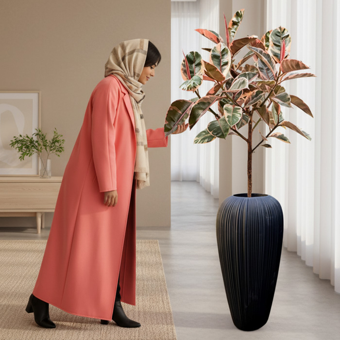 گلدان-دکوراتیو-فیکوس-شرابی-شماره-68-(ارسال-سریع-امروز) گلدان دکوراتیو فیکوس شرابی شماره 68 (ارسال سریع امروز) - Image 1