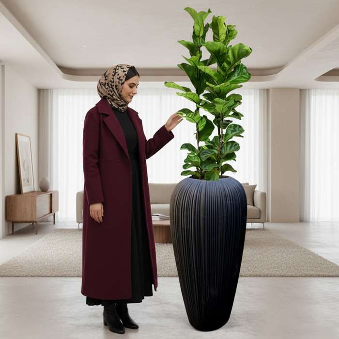 گلدان-دکوراتیو-فیکوس-لیراتا-شماره-166-(ارسال-سریع-امروز) گلدان دکوراتیو فیکوس لیراتا شماره 166 (ارسال سریع امروز) - Image 1