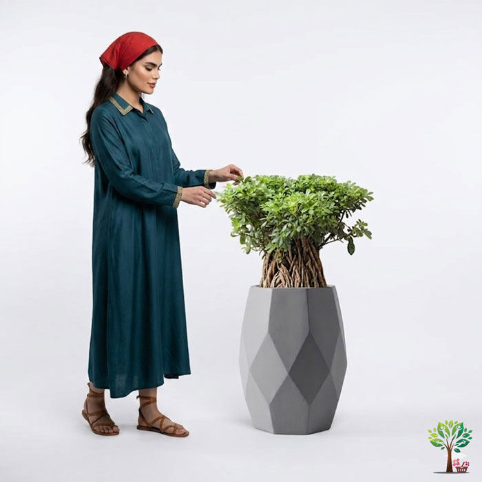 4 بونسای لوکس میخک ژاپنی مدل B44 (ارسال سریع امروز) - Image 1