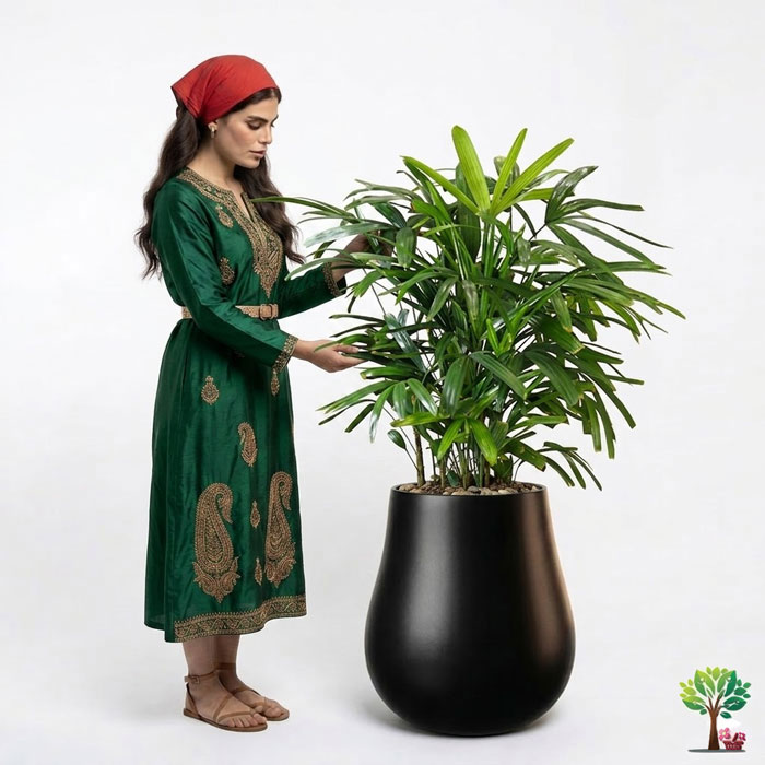 5 گلدان دکوراتیو لیدی پالم شماره 5 (ارسال سریع امروز) - Image 1