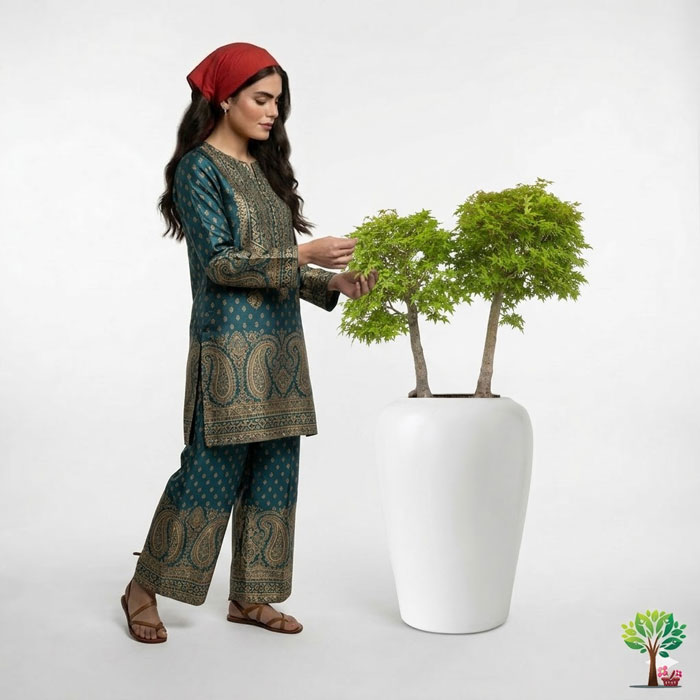 9 بونسای لوکس افرا مدل B34 (ارسال سریع امروز) - Image 1
