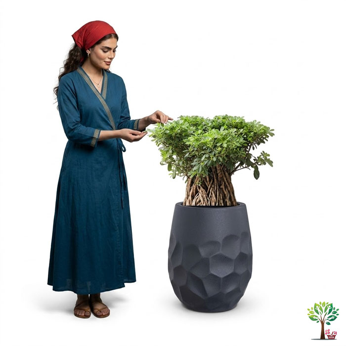9 بونسای لوکس میخک ژاپنی مدل B49 (ارسال سریع امروز) - Image 1